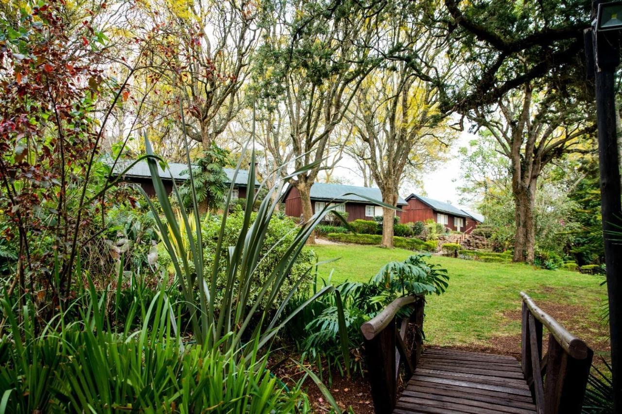 Naro Moru River Lodge エクステリア 写真