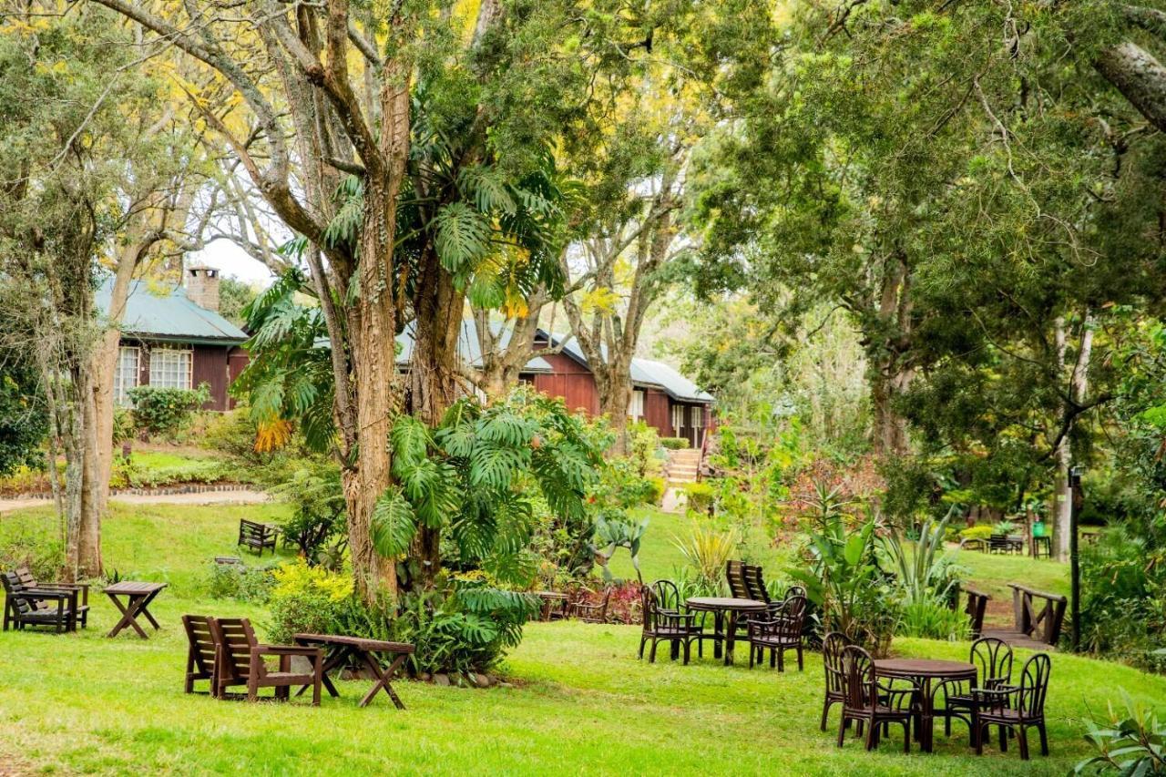 Naro Moru River Lodge エクステリア 写真