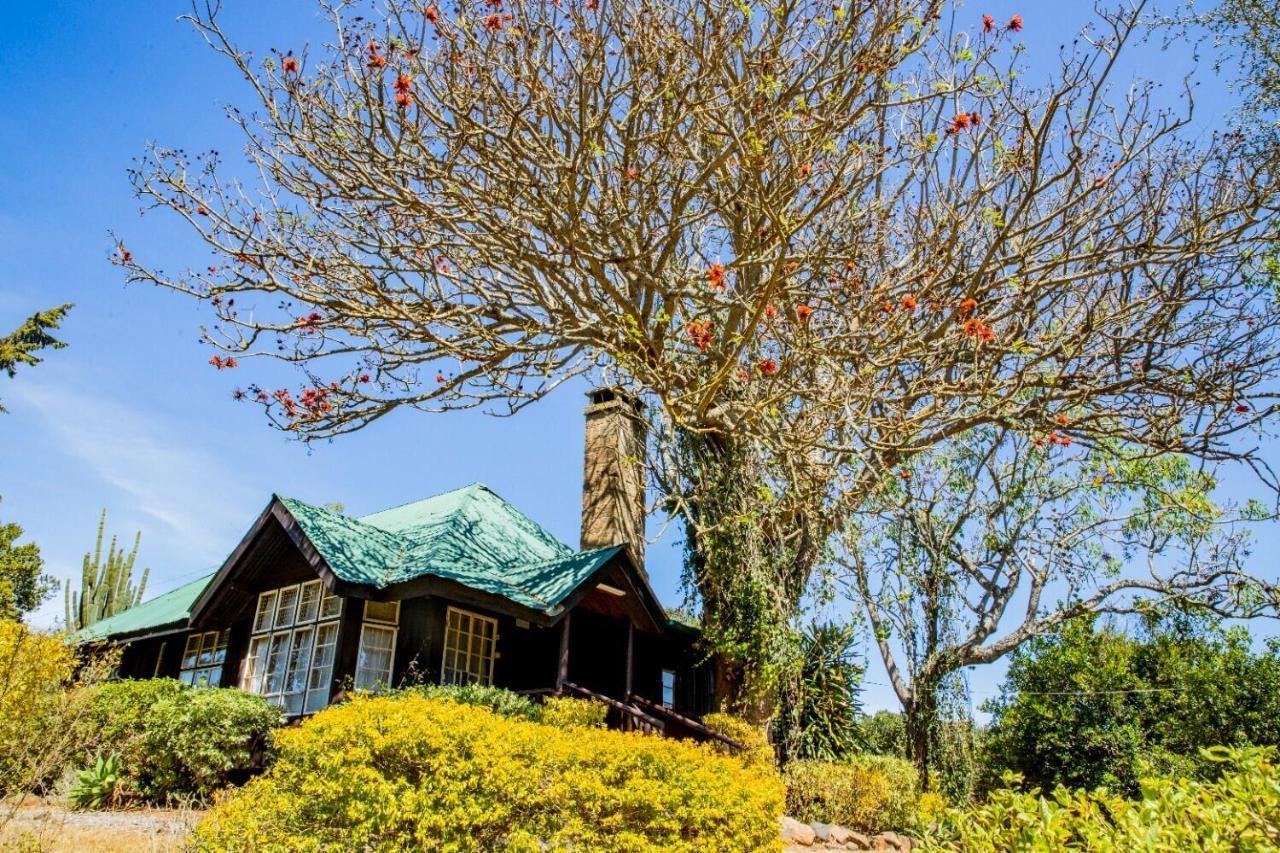 Naro Moru River Lodge エクステリア 写真