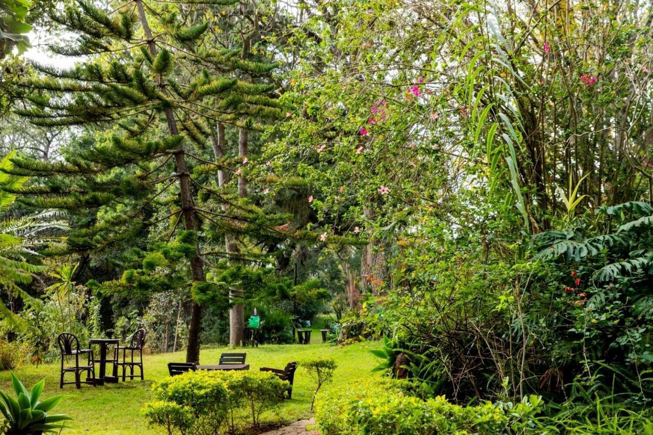Naro Moru River Lodge エクステリア 写真