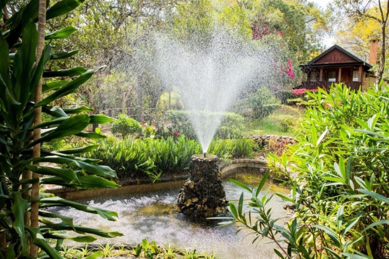 Naro Moru River Lodge エクステリア 写真