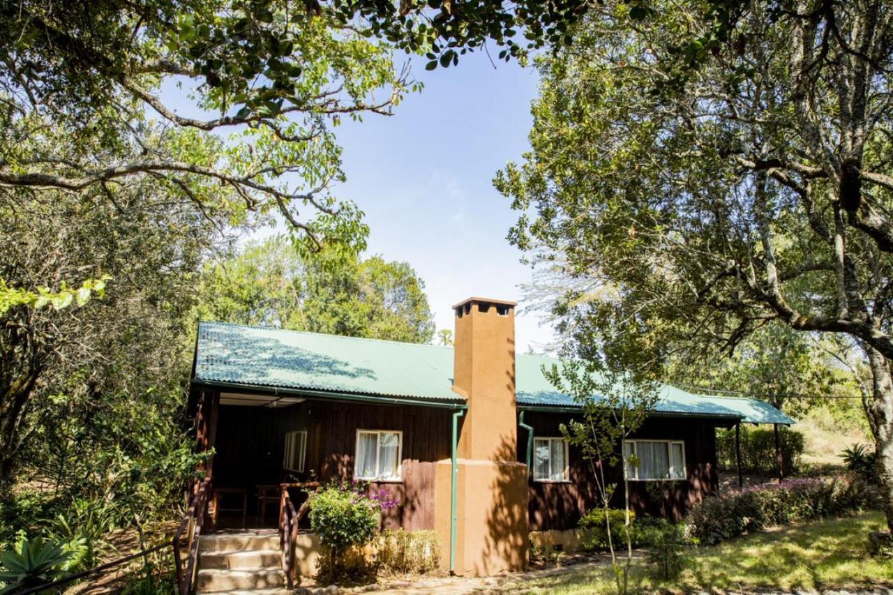 Naro Moru River Lodge エクステリア 写真